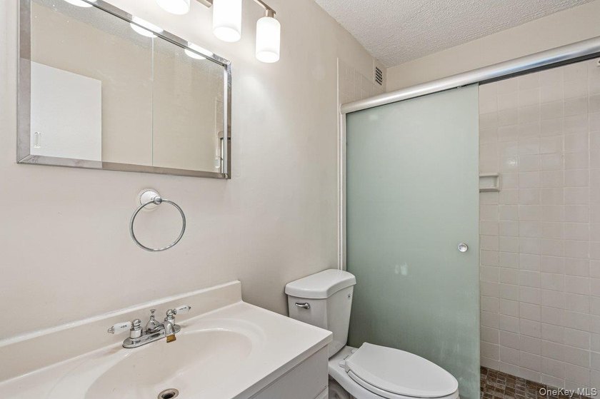 Brand new renovations in this 2 bedroom/ 2 bathroom in the - photo 20