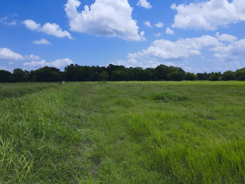 2.1 Waterfront Acres, Non HOA Gated Subdivision! - photo 16
