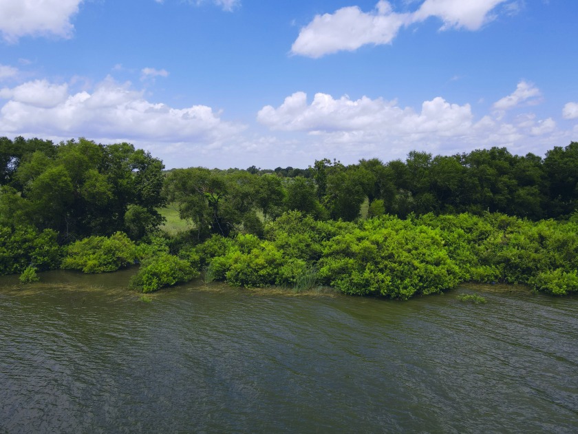 2.1 Waterfront Acres, Non HOA Gated Subdivision! - photo 15