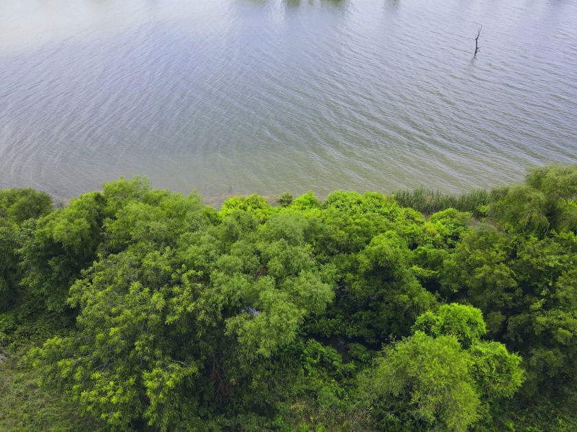 2.1 Waterfront Acres, Non HOA Gated Subdivision! - photo 21