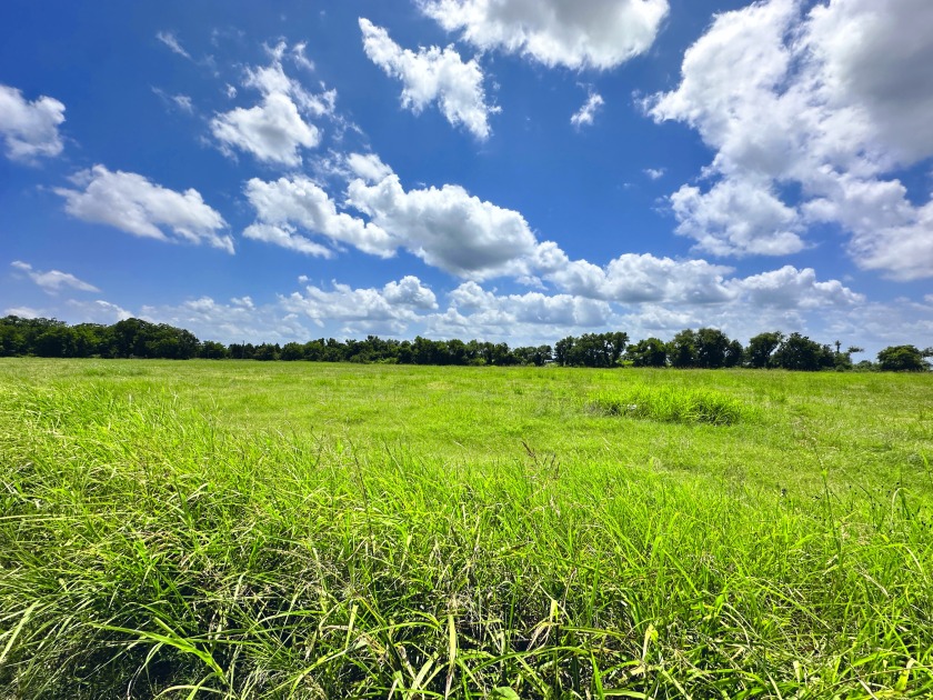 2.1 Waterfront Acres, Non HOA Gated Subdivision! - photo 20