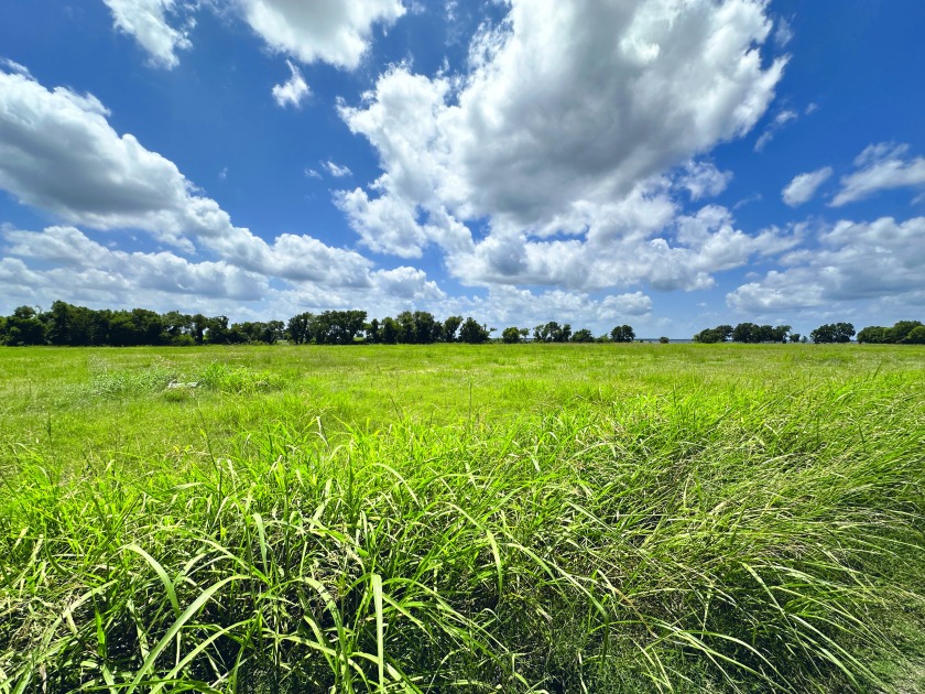 2.1 Waterfront Acres, Non HOA Gated Subdivision! - photo 7