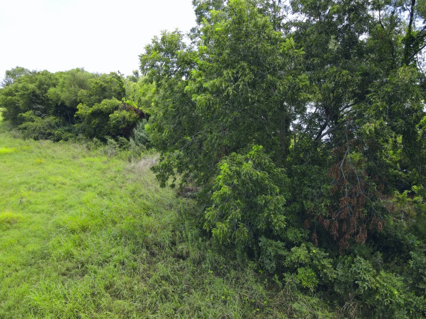 2.1 Waterfront Acres, Non HOA Gated Subdivision! - photo 24