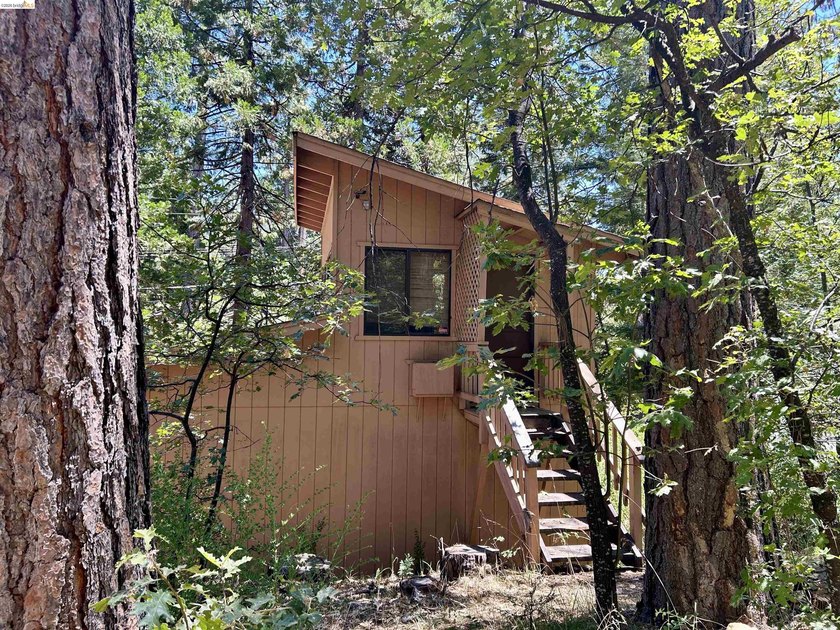 HUD Home! Nestled in the desirable Lake Mont Pines community - photo 18