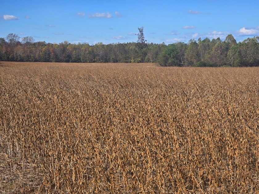 8.5 parcels located near Heathsville within a short commute to - photo 2
