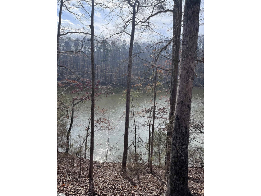 Enjoy lake living in a beautiful community on Lake Hartwell - photo 6