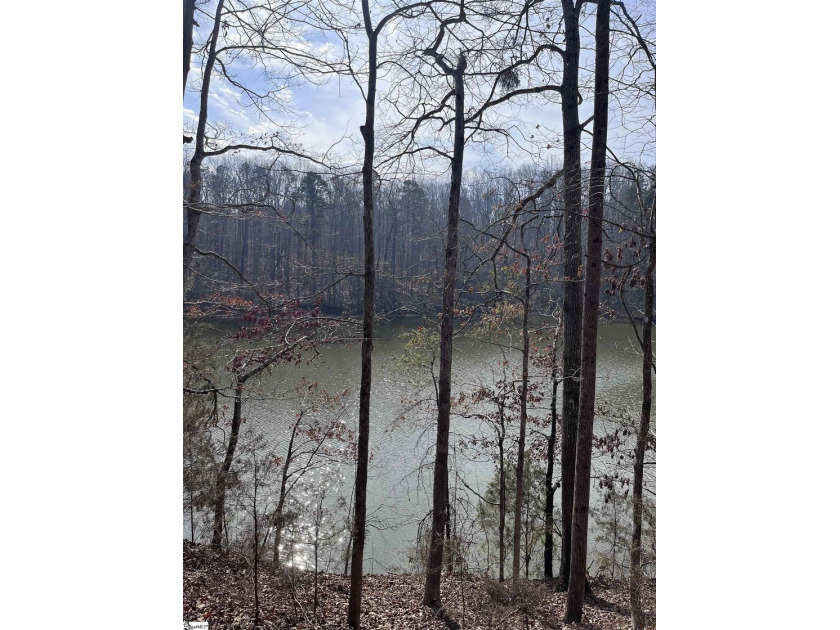 Enjoy lake living in a beautiful community on Lake Hartwell - photo 7