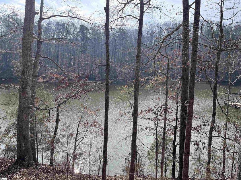 Enjoy lake living in a beautiful community on Lake Hartwell - photo 8