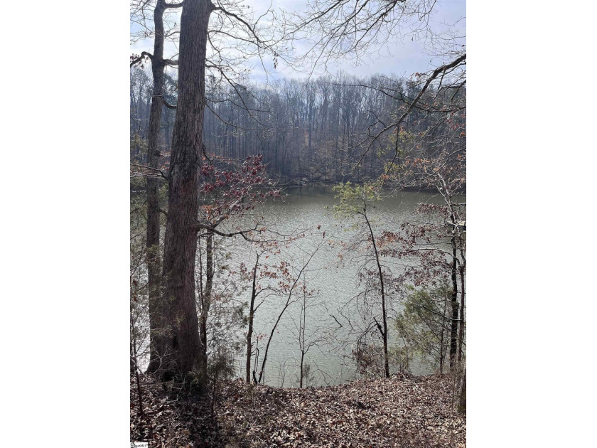 Enjoy lake living in a beautiful community on Lake Hartwell - photo 9