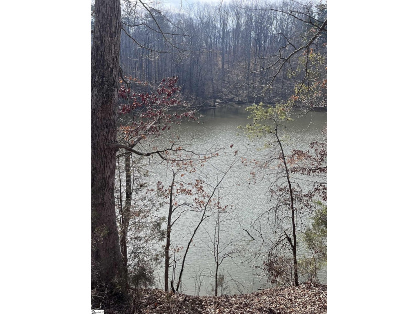Enjoy lake living in a beautiful community on Lake Hartwell - photo 10