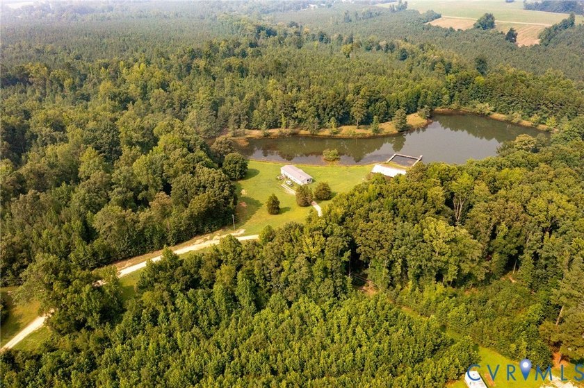 Here is your opportunity to own nearly 120 acres in Dinwiddie - photo 4