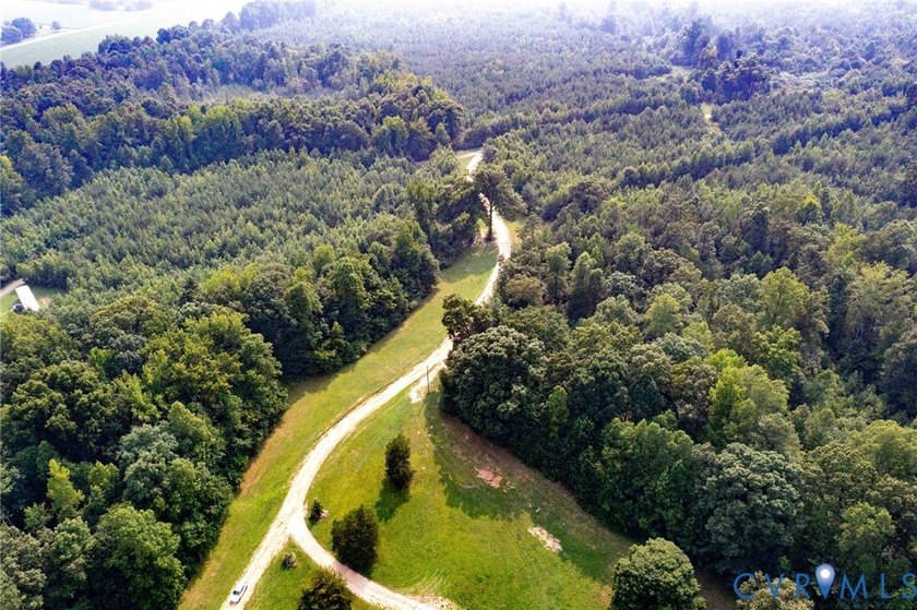 Here is your opportunity to own nearly 120 acres in Dinwiddie - photo 5
