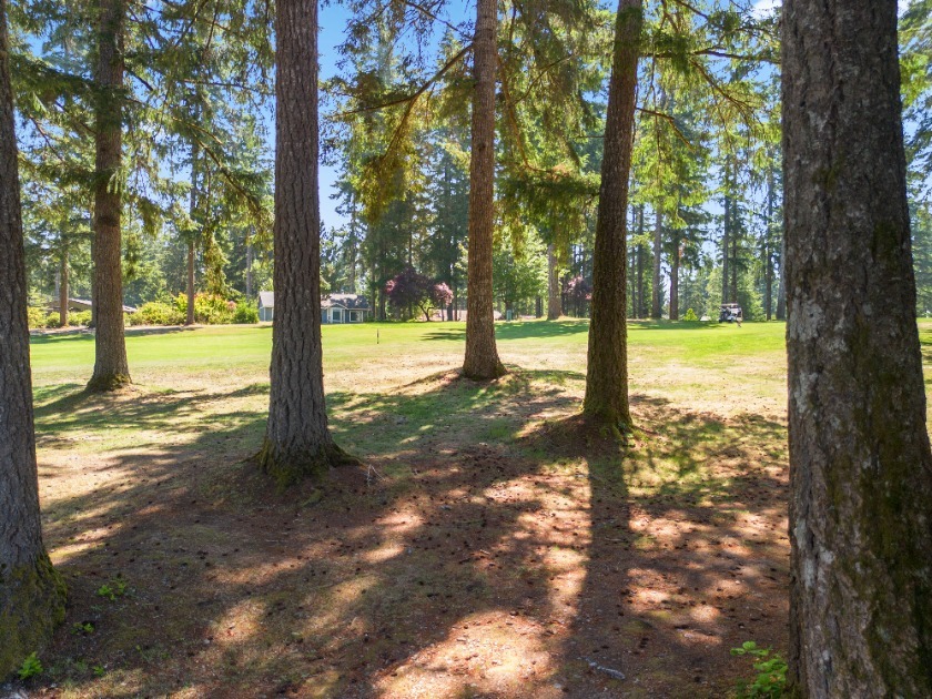 Golf Course Home - Manicured and Updated - photo 13