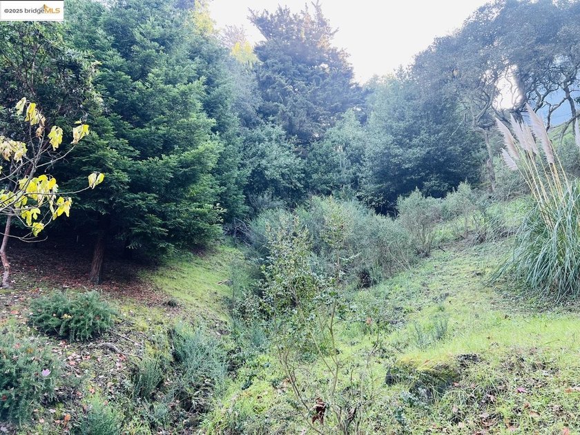 Build your dream home in the prestigious Oakland Hills! This 0 - photo 3