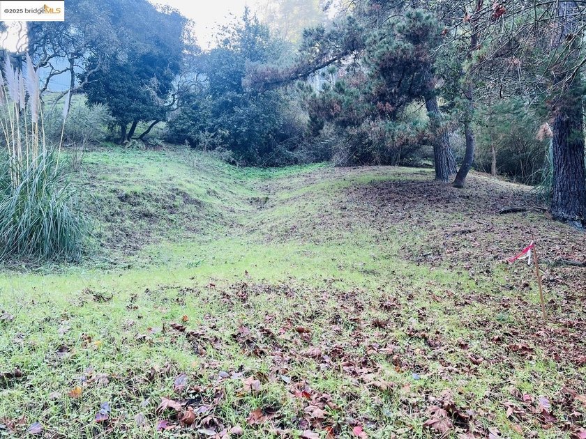 Build your dream home in the prestigious Oakland Hills! This 0 - photo 4