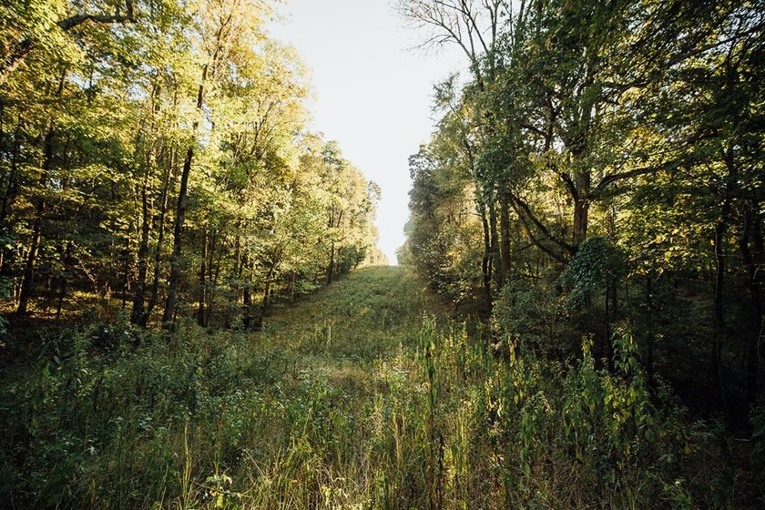 WELCOME TO A PREMIER HUNTING AND RECREATIONAL PROPERTY IN THE - photo 30