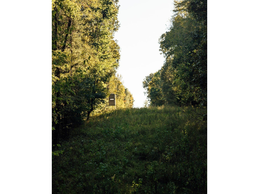 WELCOME TO A PREMIER HUNTING AND RECREATIONAL PROPERTY IN THE - photo 40