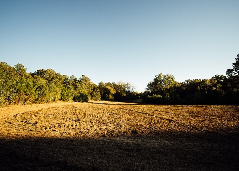 WELCOME TO A PREMIER HUNTING AND RECREATIONAL PROPERTY IN THE - photo 42
