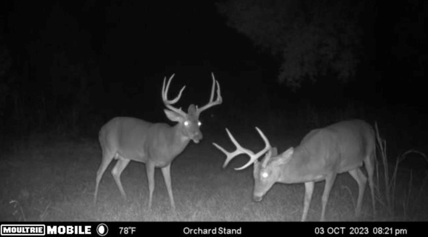 WELCOME TO A PREMIER HUNTING AND RECREATIONAL PROPERTY IN THE - photo 43