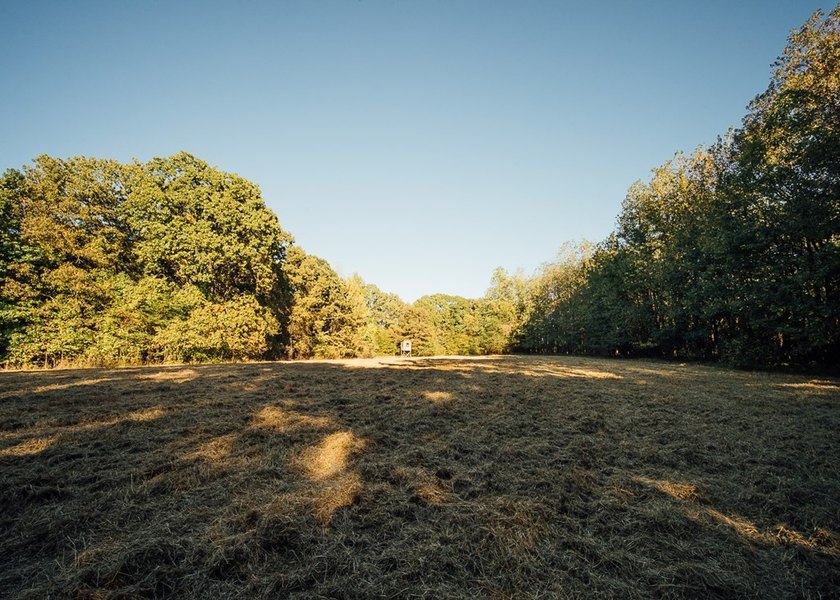 WELCOME TO A PREMIER HUNTING AND RECREATIONAL PROPERTY IN THE - photo 49