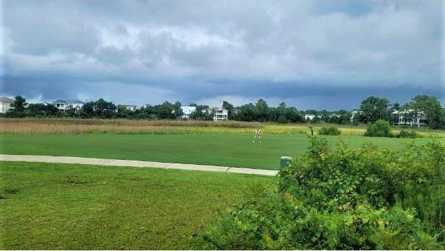 Have you always wanted a Charleston-style home near the water? - photo 6
