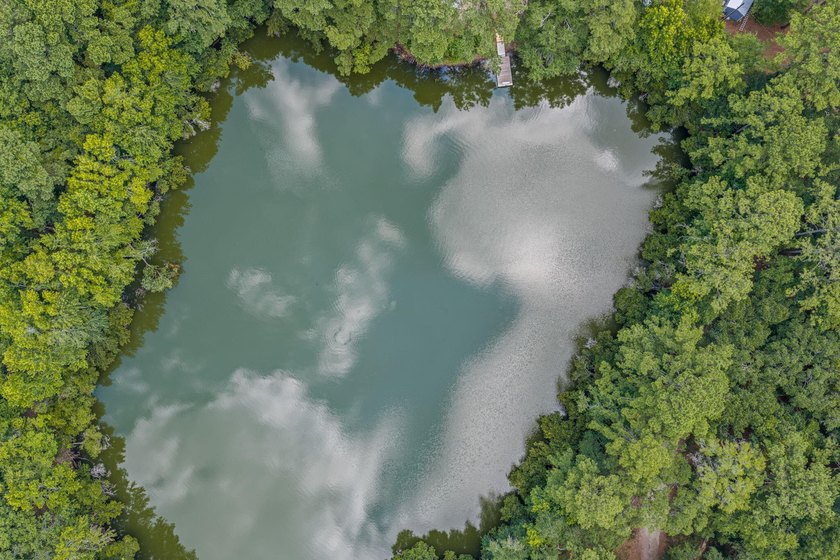 6.19 Acres | Approx. 3-Acre Private Freshwater Lake | 3BR | 2BA - photo 7
