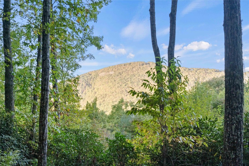 Welcome to this stunning mountain retreat with expansive views - photo 34