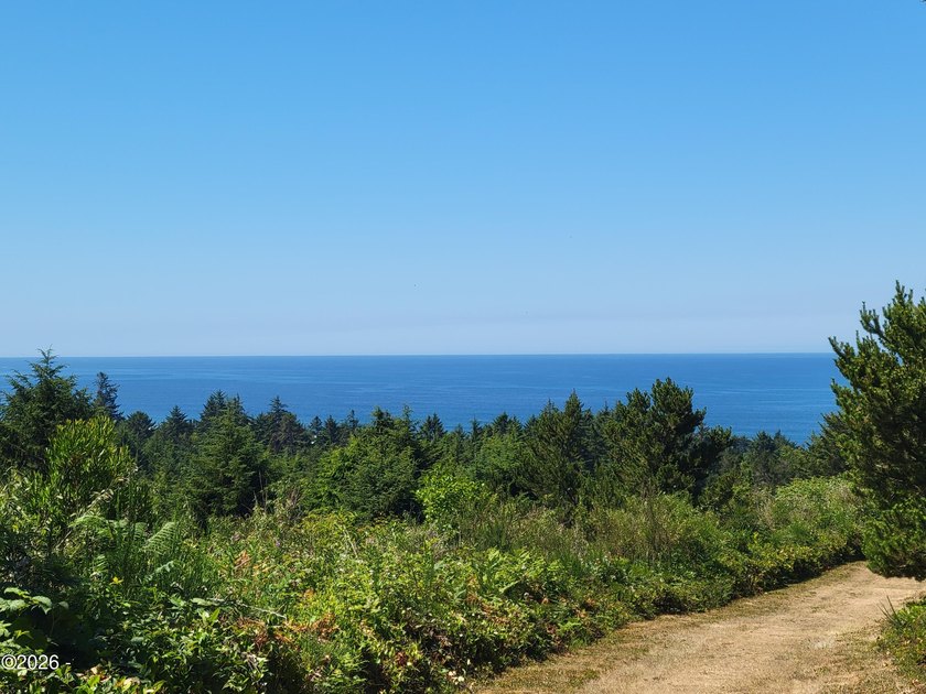 Stunning manufactured home WITH OCEAN VIEWS in a lovely - photo 47