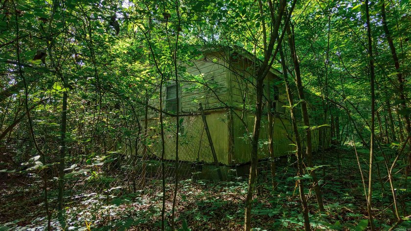 ATTENTION BUYERS &amp; BUILDERS IN THE SHERIDAN AREA! Uncover the - photo 7