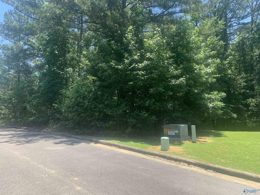 Build your dream home in the established Taylor Ridge - photo 2