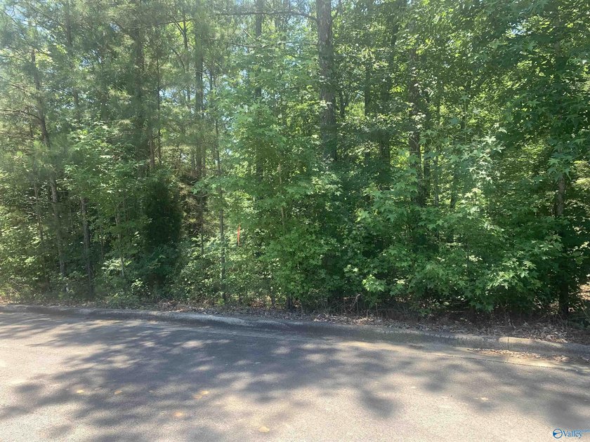 Build your dream home in the established Taylor Ridge - photo 3