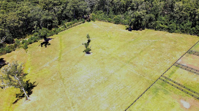 Great opportunity to live in the country on Johns Island - photo 4