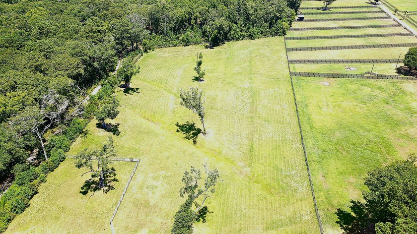 Great opportunity to live in the country on Johns Island - photo 7
