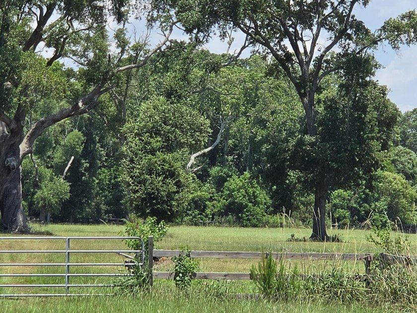 Great opportunity to live in the country on Johns Island - photo 8