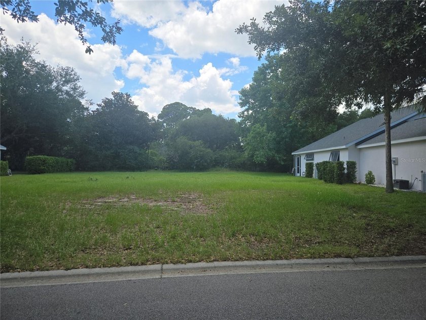 Build the home you've always envisioned on this pristine - photo 3