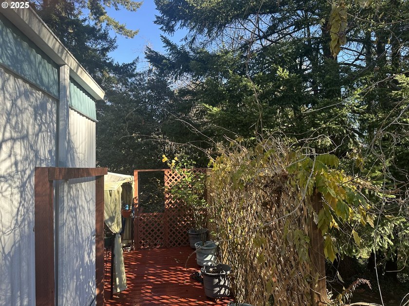 This comfy 2 bdrm/2 bath home in a 55+ park up the Chetco river - photo 18