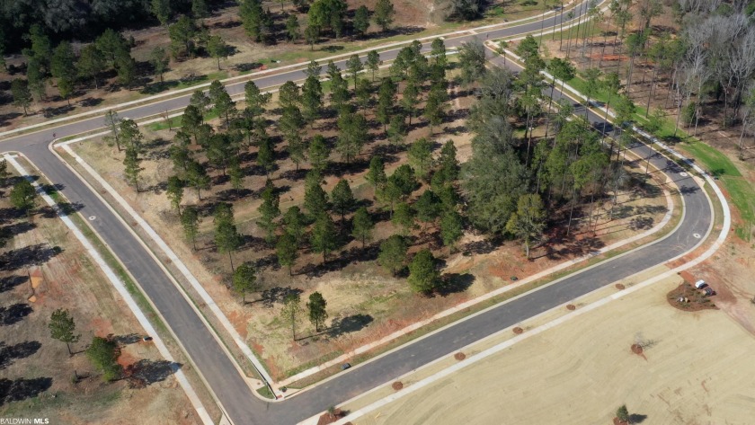 A premier upscale development in Fairhope highly insulated from - photo 11