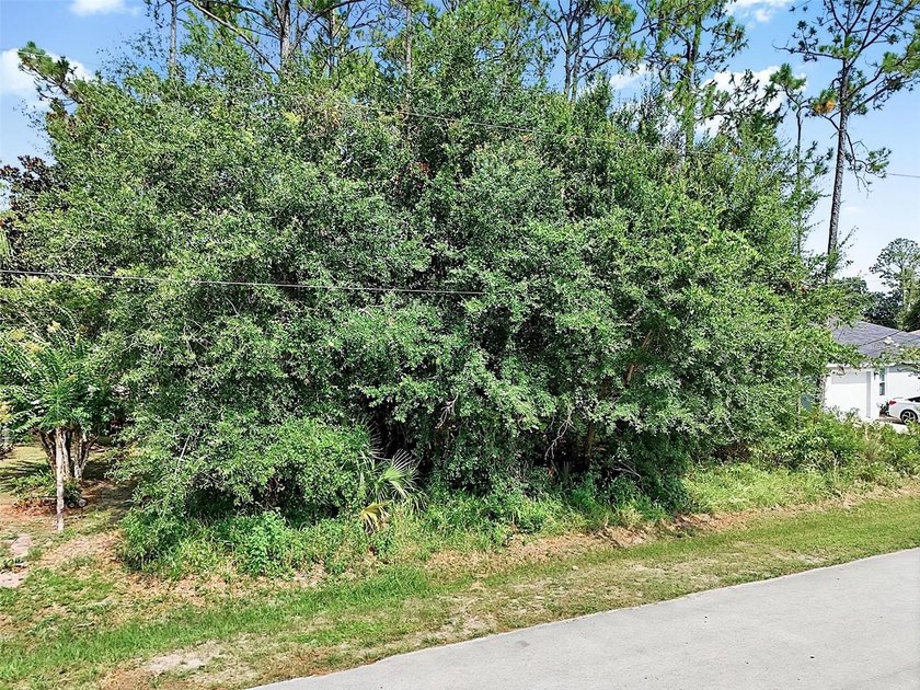The beach is certainly within reach on this new lot listing! - photo 2
