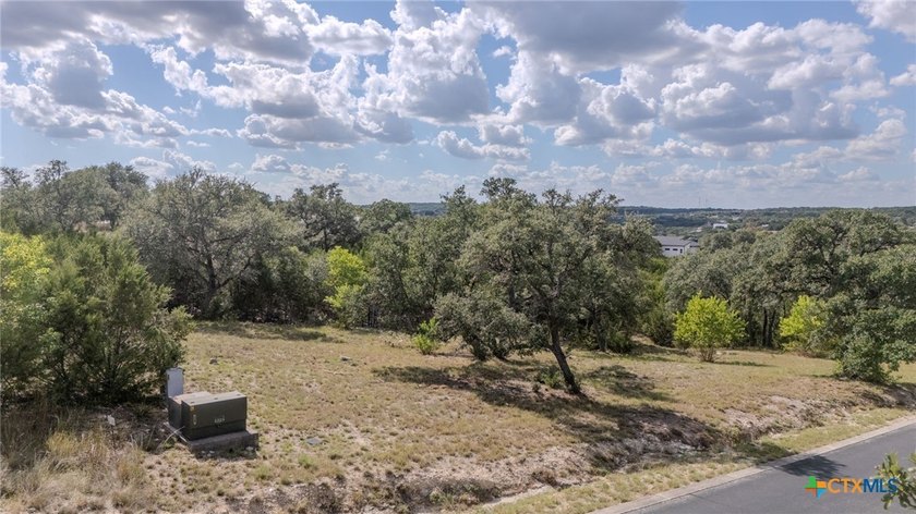 Exceptional 1/2 acre home-site in the prestigious gated - photo 3