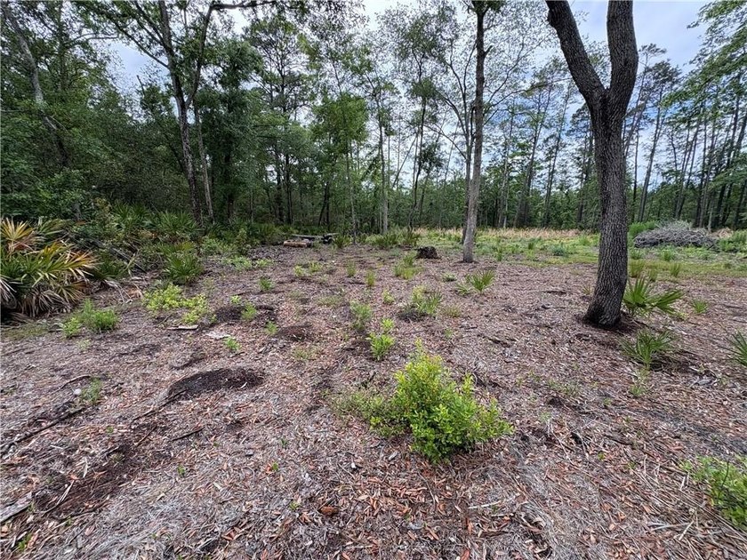 Beautifully cleared residential lot offering breathtakingly - photo 11