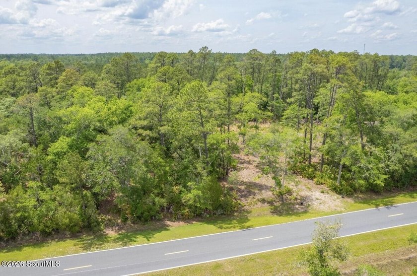 Beautifully cleared residential lot offering breathtakingly - photo 25