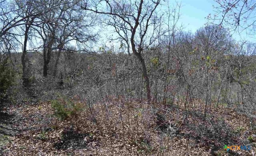 A rare opportunity to own a piece of peaceful Texas countryside - photo 4