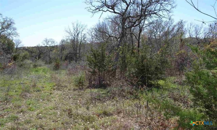 A rare opportunity to own a piece of peaceful Texas countryside - photo 5