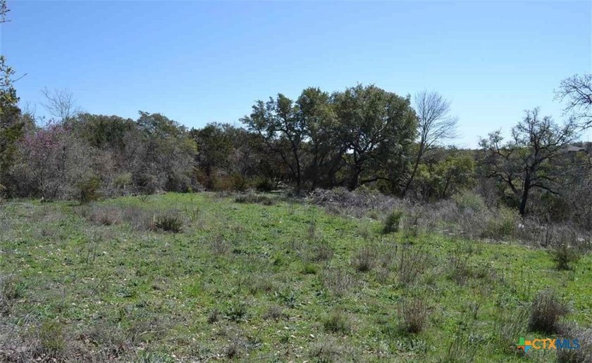A rare opportunity to own a piece of peaceful Texas countryside - photo 6