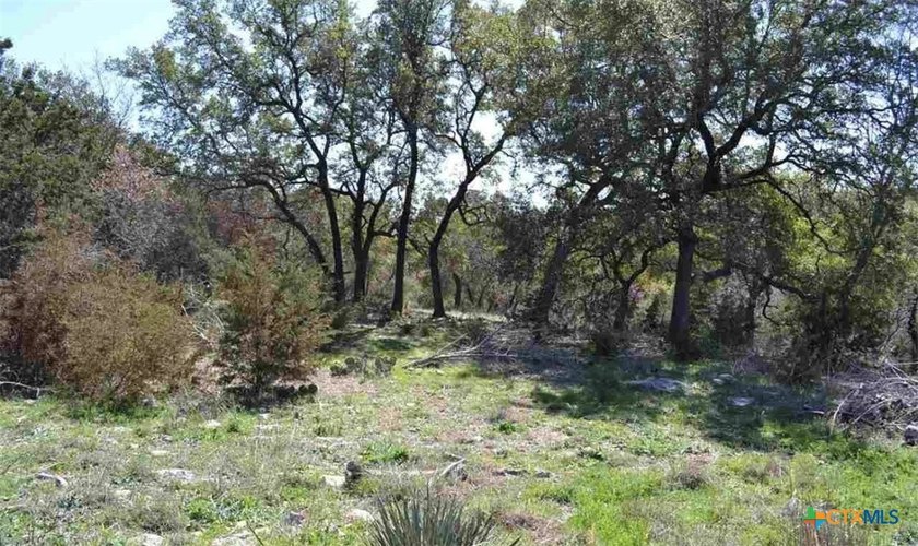A rare opportunity to own a piece of peaceful Texas countryside - photo 7