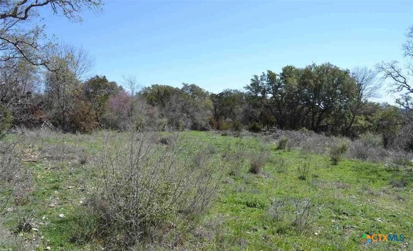 A rare opportunity to own a piece of peaceful Texas countryside - photo 8