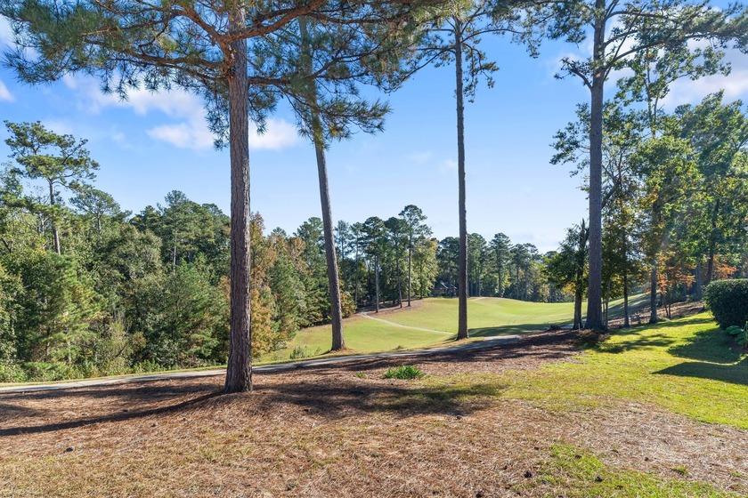 Experience refined living at 311 Katy Lane, perfectly positioned - photo 10