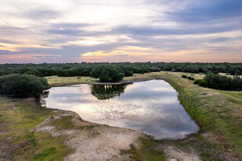 The Bar H Ranch is a 240 acre high-fenced game ranch located - photo 4