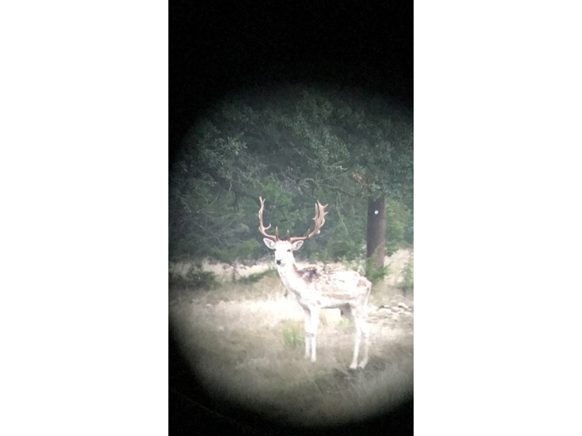 The Bar H Ranch is a 240 acre high-fenced game ranch located - photo 8