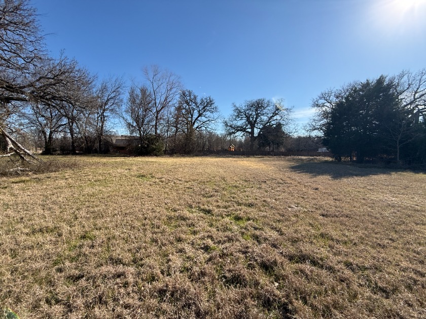 1 Acre Lake Subdivision Lot - The Shores - Corsicana, TX - photo 11